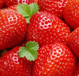 農副產品配送 連接優質商家與消費者的橋梁