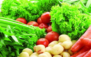 南湖區農產品安全再升級 96家農業主體實現100%可追溯