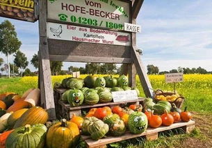 借鑒國外經驗，破解農產品滯銷難題