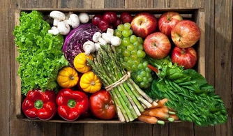 中國(guó)供銷延安農(nóng)產(chǎn)品物流園 構(gòu)筑放心“菜籃子”工程，助力農(nóng)產(chǎn)品安全高效流通